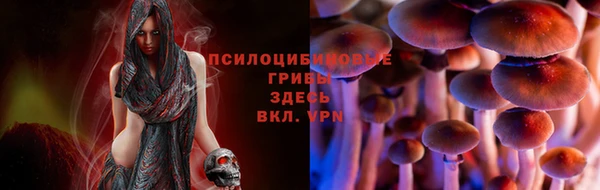 2c-b Сосновка