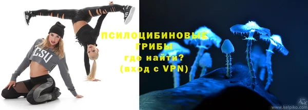 2c-b Сосновка