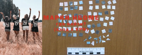 прущие грибы Сосновый Бор