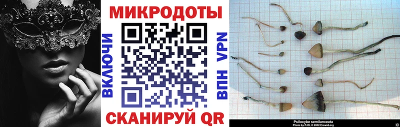 Купить  Симферополь  Псилоцибиновые грибы Magic Shrooms 